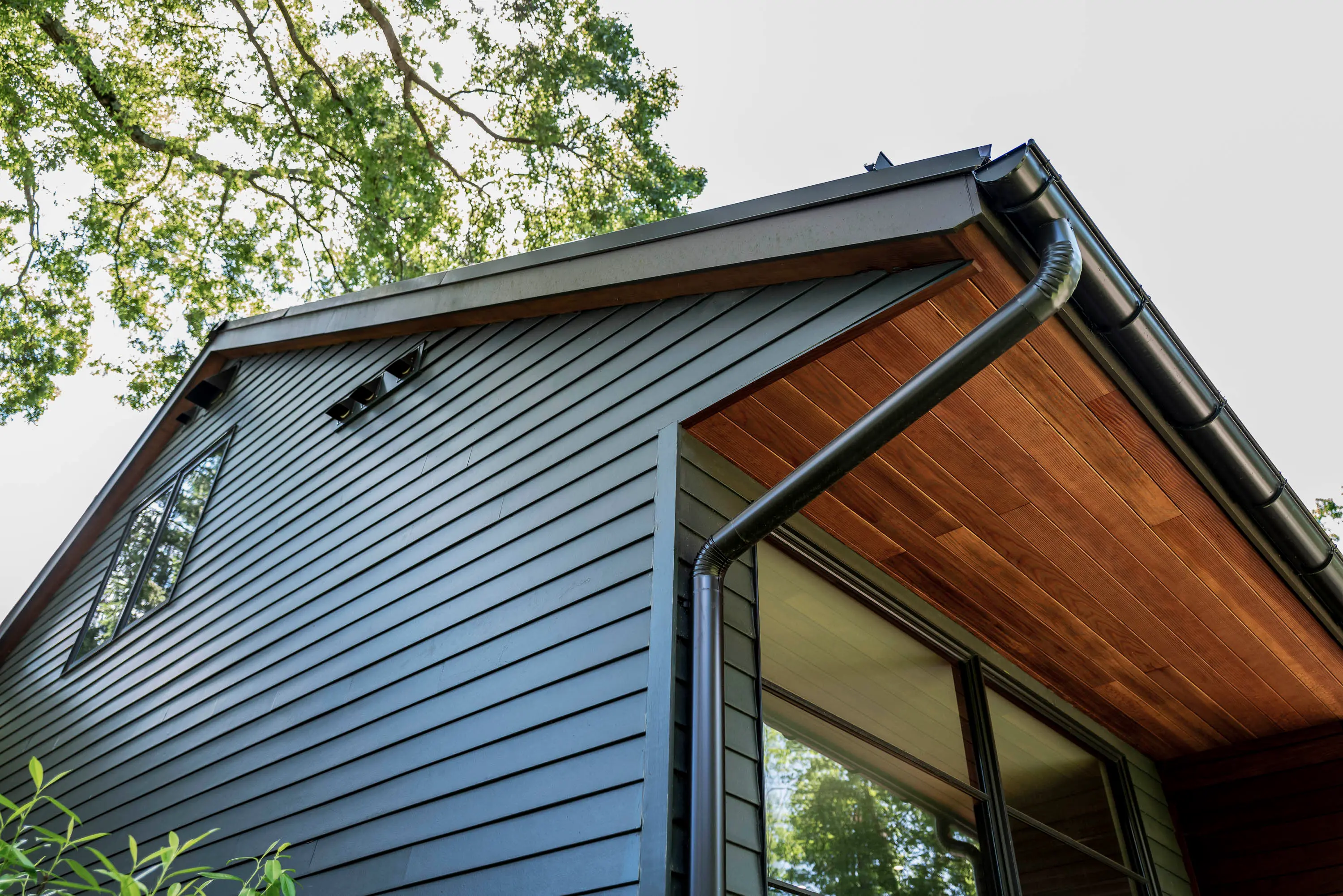 Modern siding exterior